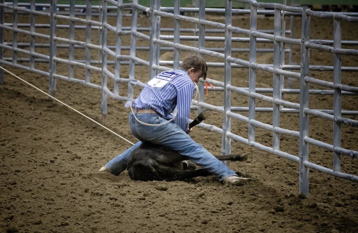Tie-down roping with full stands