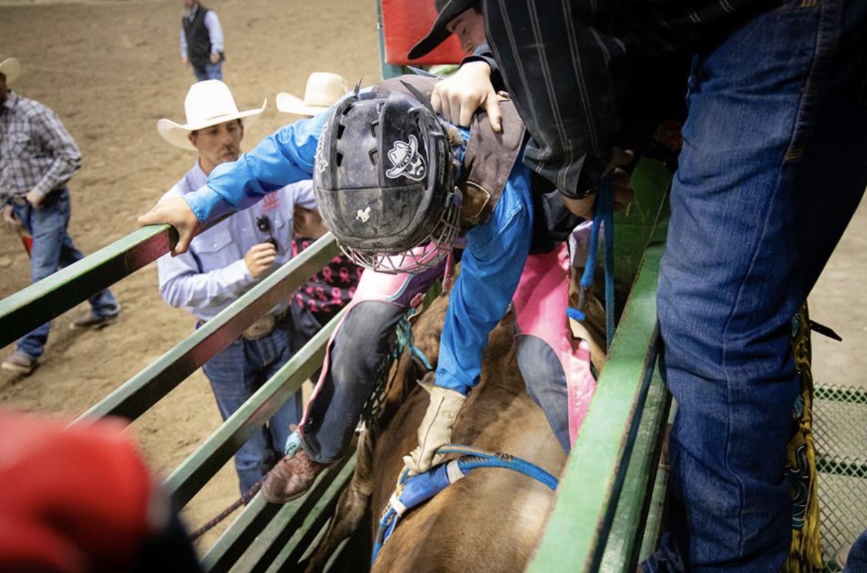 Bareback rodeo action